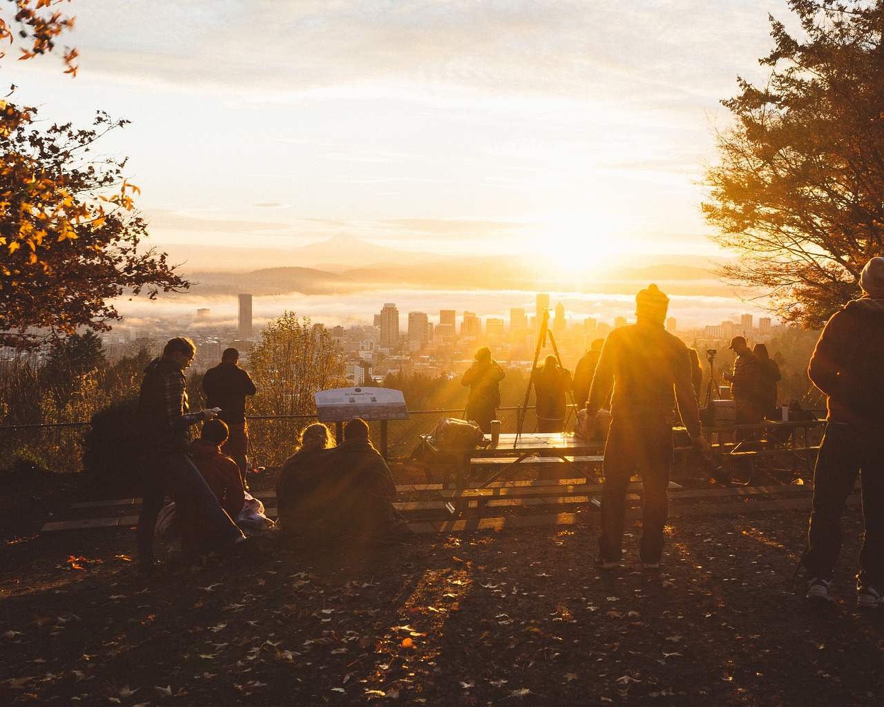 First Camping Trip? Safety Tips for Beginners